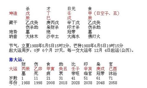 丙火2024|年运